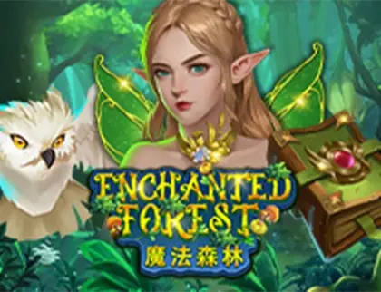Enchanted Forest