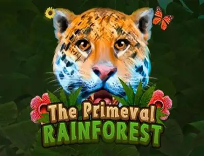 Primeval Rainforest