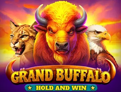 Grand Buffalo Hold and Win